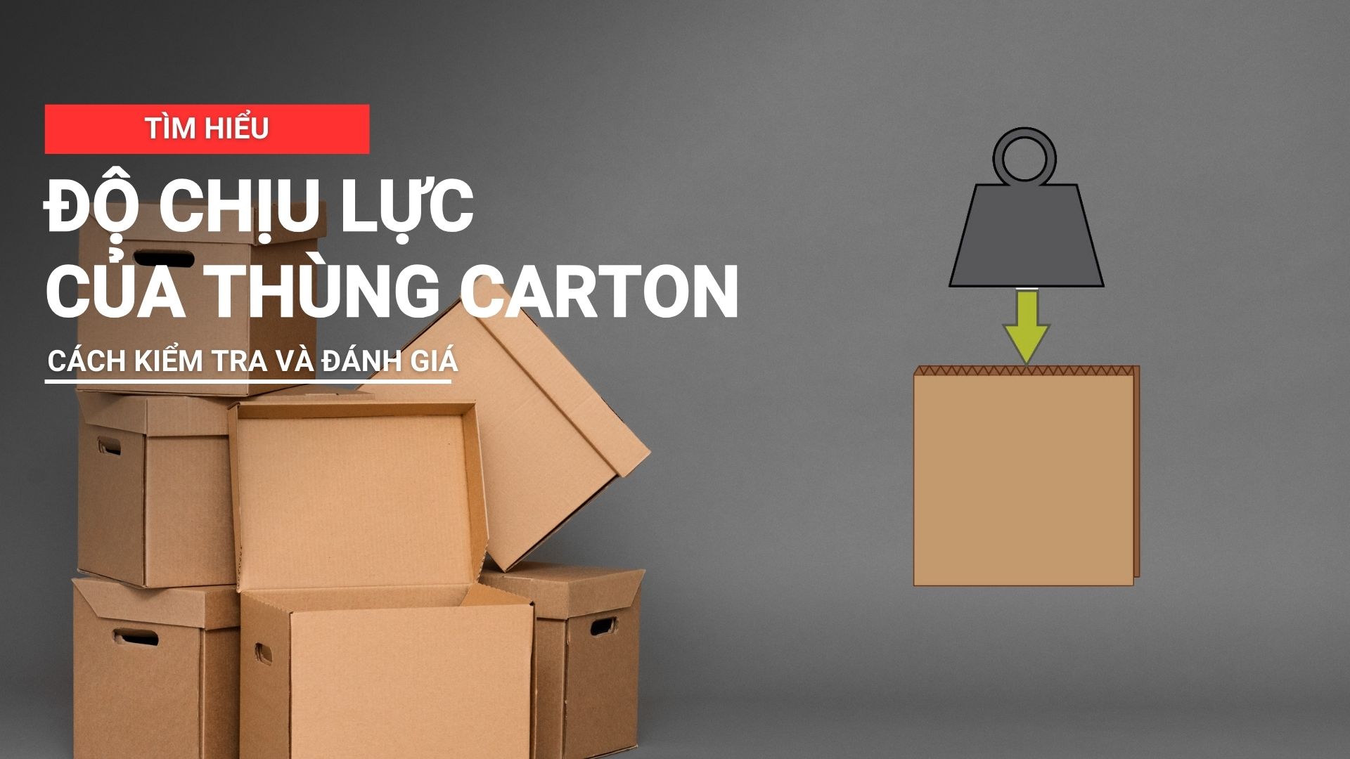 Độ chịu lực của thùng carton là gì? Cách kiểm tra và đánh giá