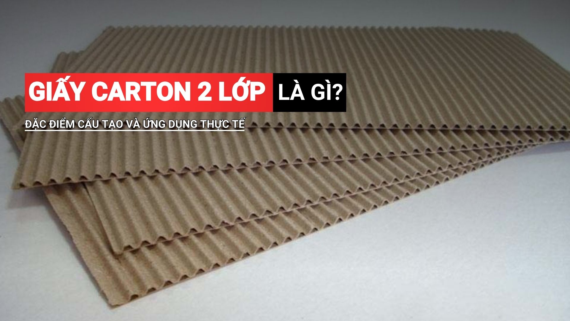 Giấy carton 2 lớp là gì? Đặc điểm cấu tạo và các ứng dụng thực tế 