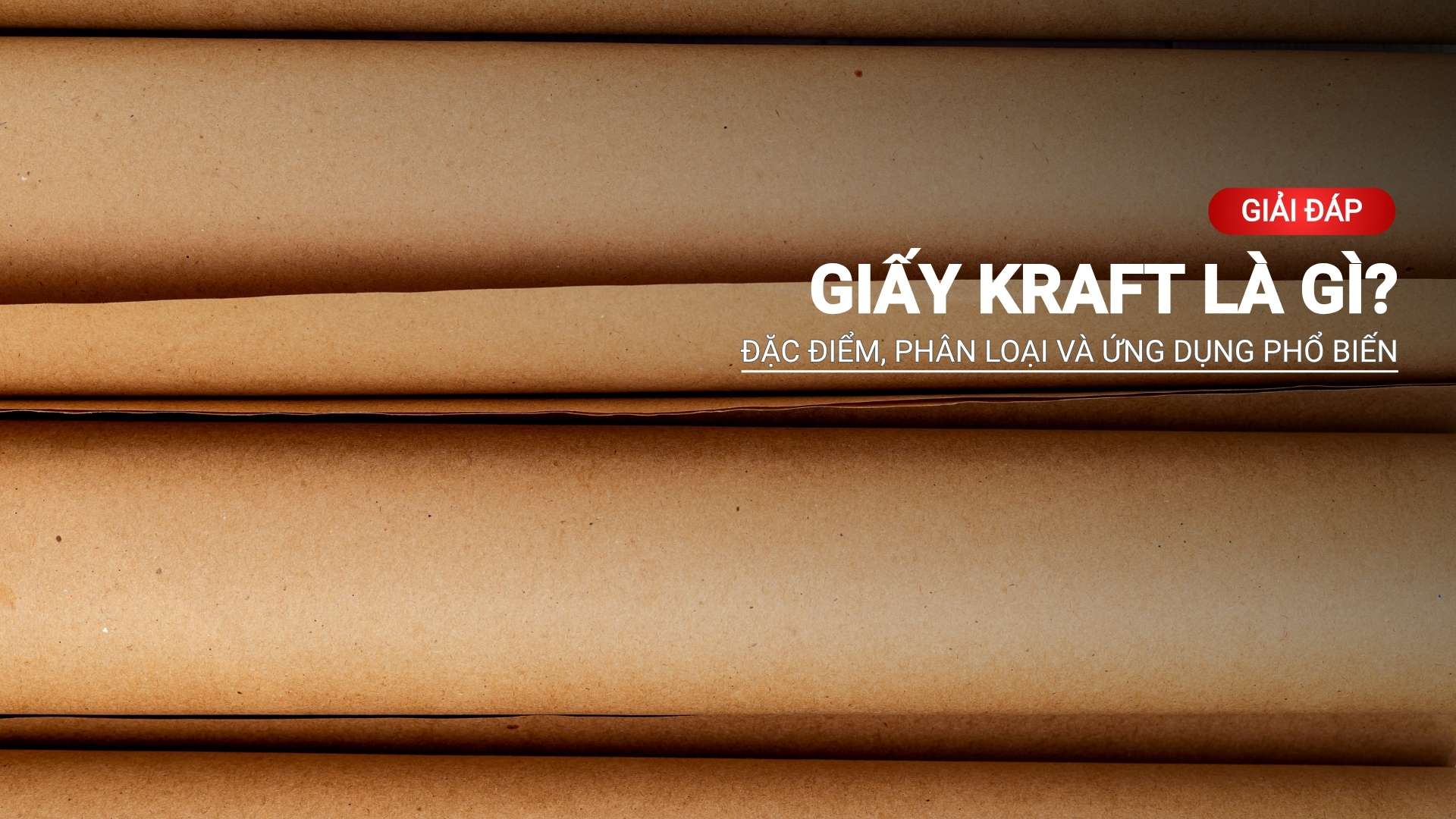 Giấy kraft là gì? Đặc điểm, phân loại và ứng dụng phổ biến