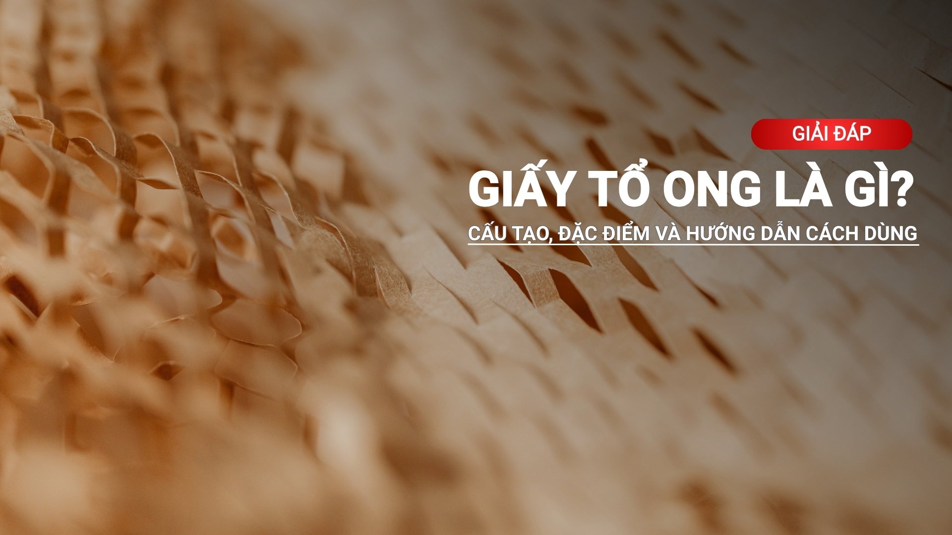 Giấy tổ ong là gì? Cấu tạo, đặc điểm và hướng dẫn cách dùng hiệu quả