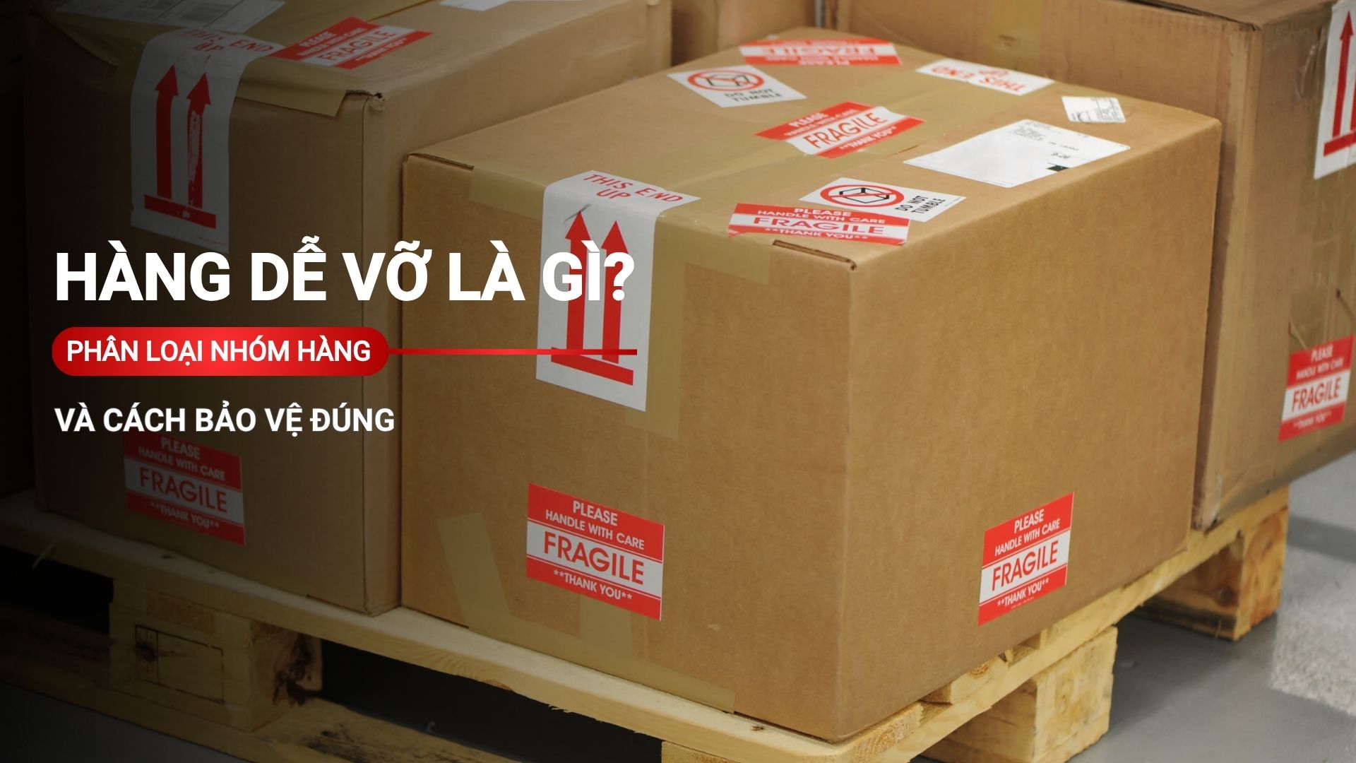 Hàng dễ vỡ là gì? Phân loại nhóm hàng và cách bảo vệ đúng