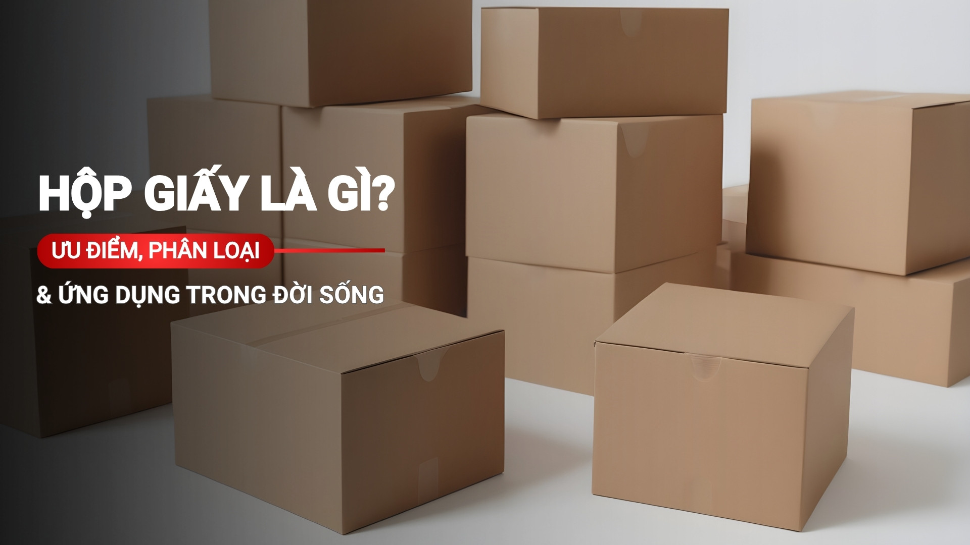 Hộp giấy là gì? Ưu điểm, phân loại và ứng dụng trong đời sống