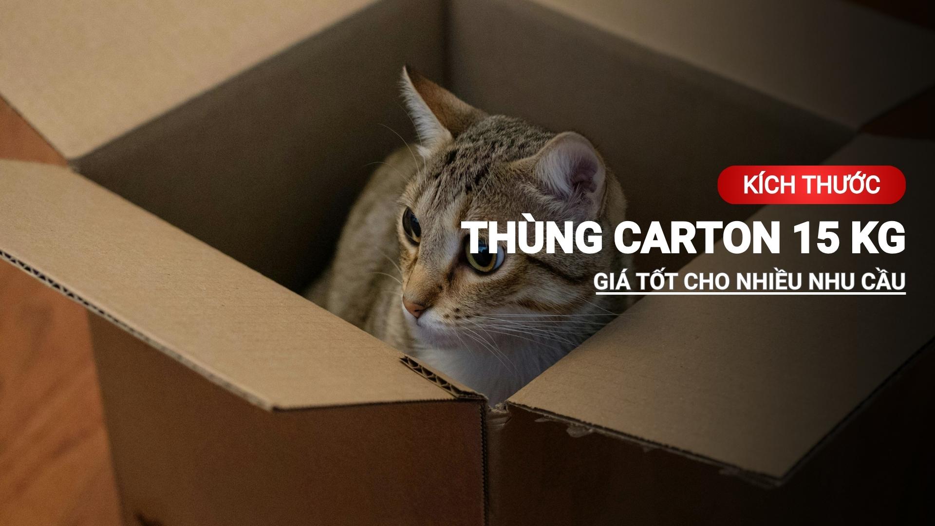 Chi tiết các kích thước thùng carton 15kg giá tốt cho nhiều nhu cầu