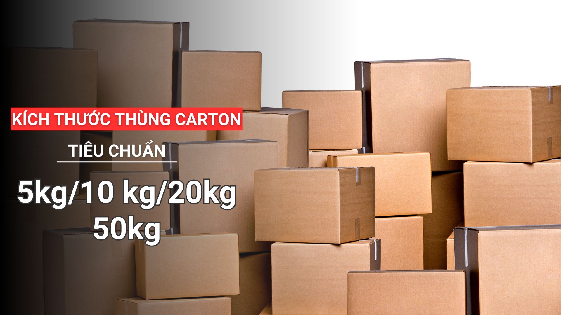 Kích thước thùng carton tiêu chuẩn 5kg, 10 kg, 20kg đến 50kg