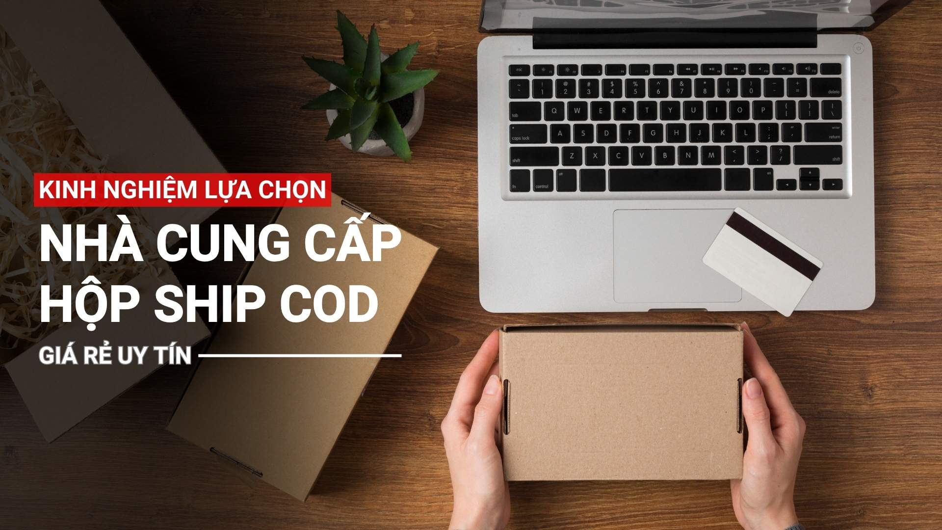 Tổng hợp kinh nghiệm lựa chọn nhà cung cấp hộp ship cod