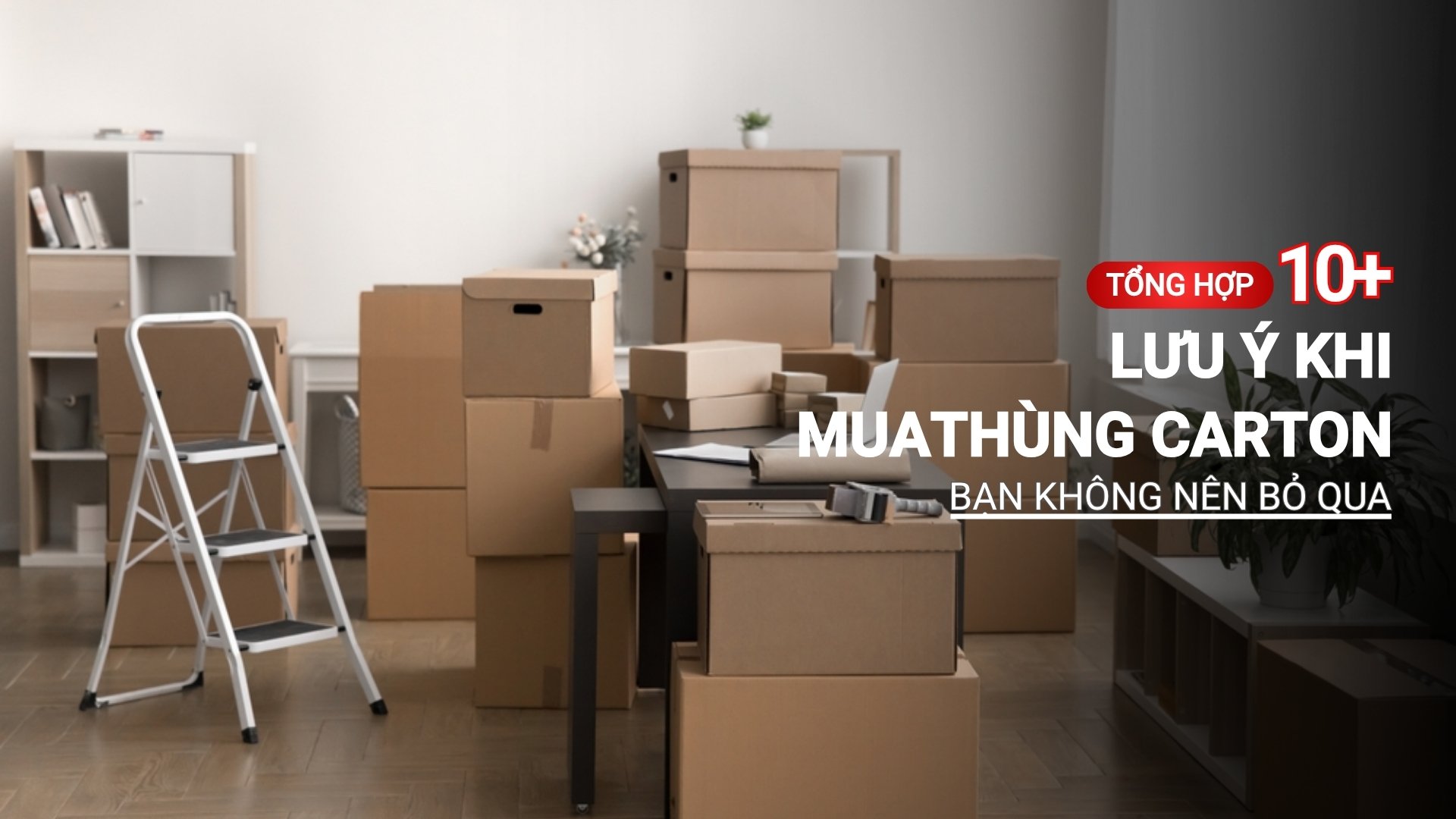 Tổng hợp 10+ lưu ý khi mua thùng carton bạn không nên bỏ qua