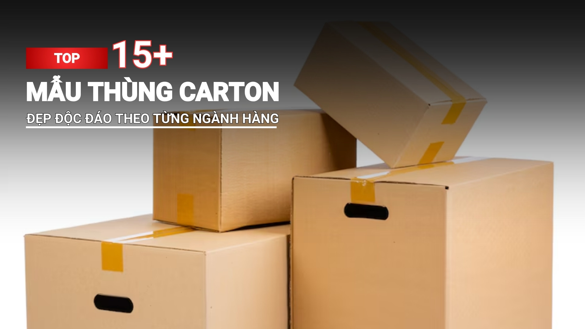 Top 15+ mẫu thùng carton đẹp, độc đáo cho từng ngành hàng