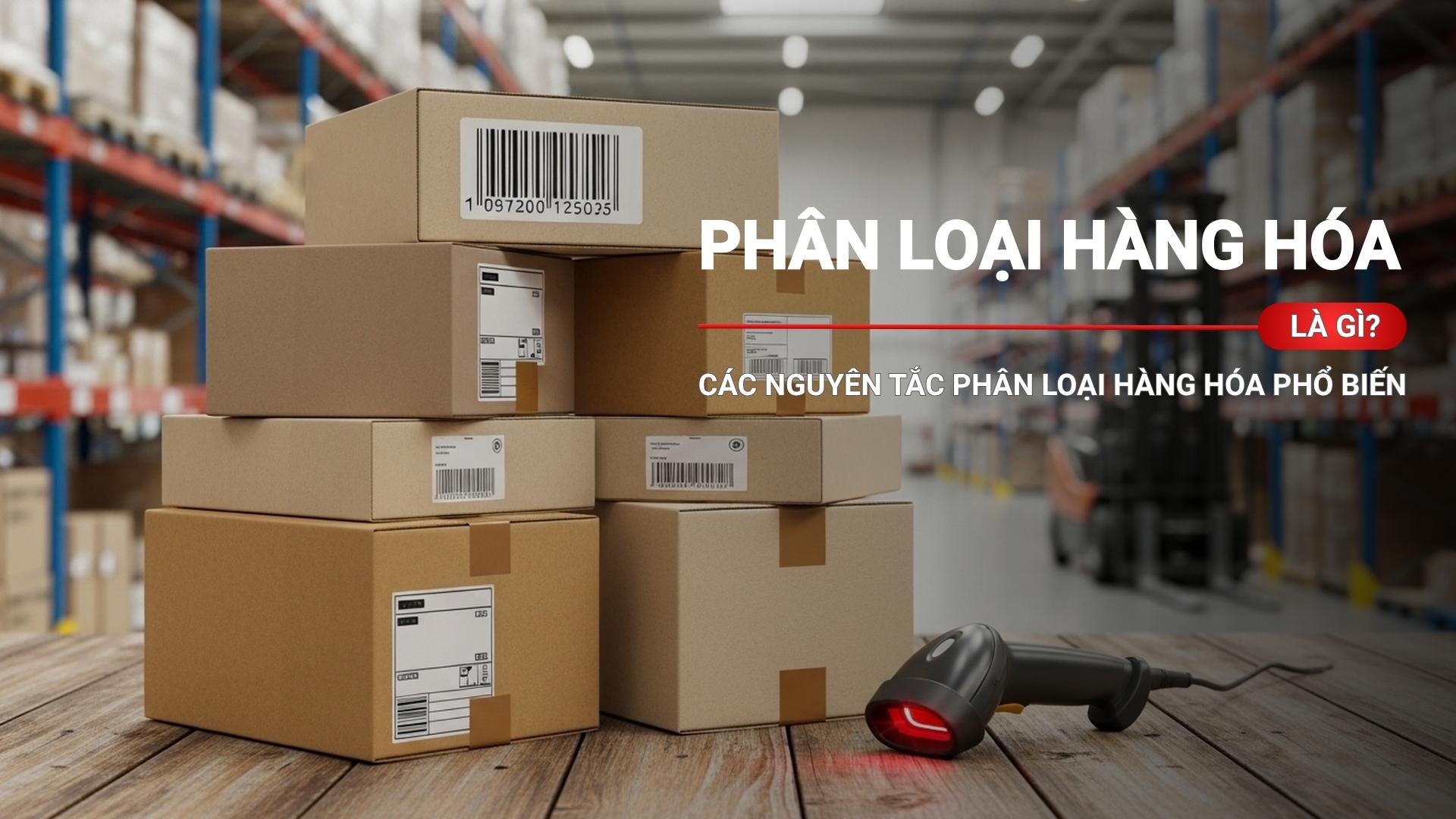 Phân loại hàng hóa là gì? Các nguyên tắc phân loại hàng hóa phổ biến