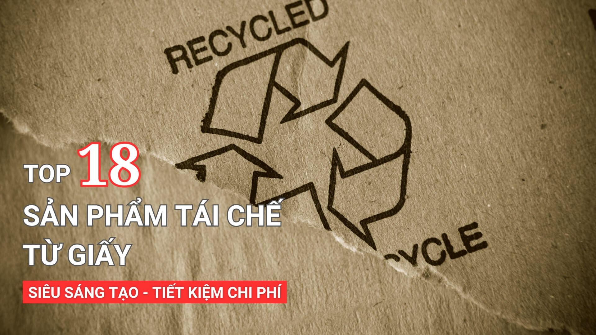 Top 18 sản phẩm tái chế từ giấy siêu sáng tạo, tiết kiệm chi phí