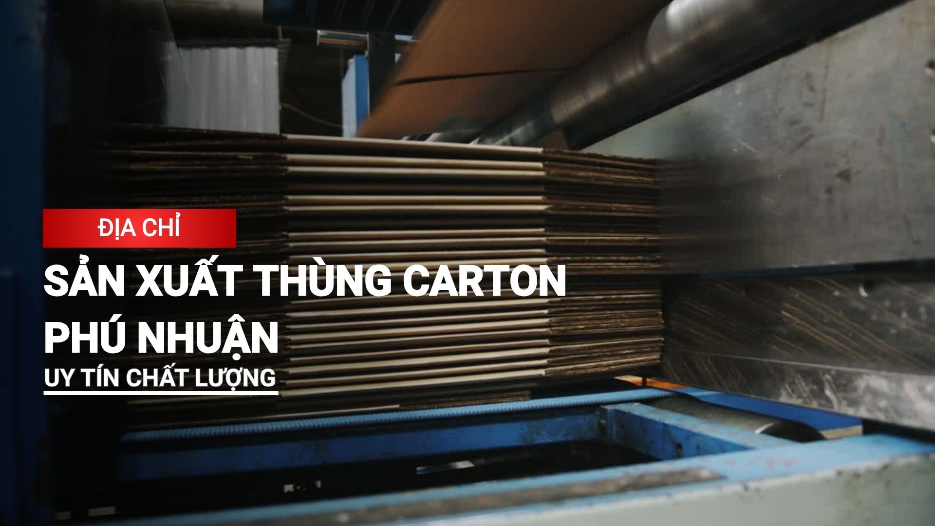 Hướng dẫn chọn địa chỉ sản xuất thùng carton Phú Nhuận chất lượng