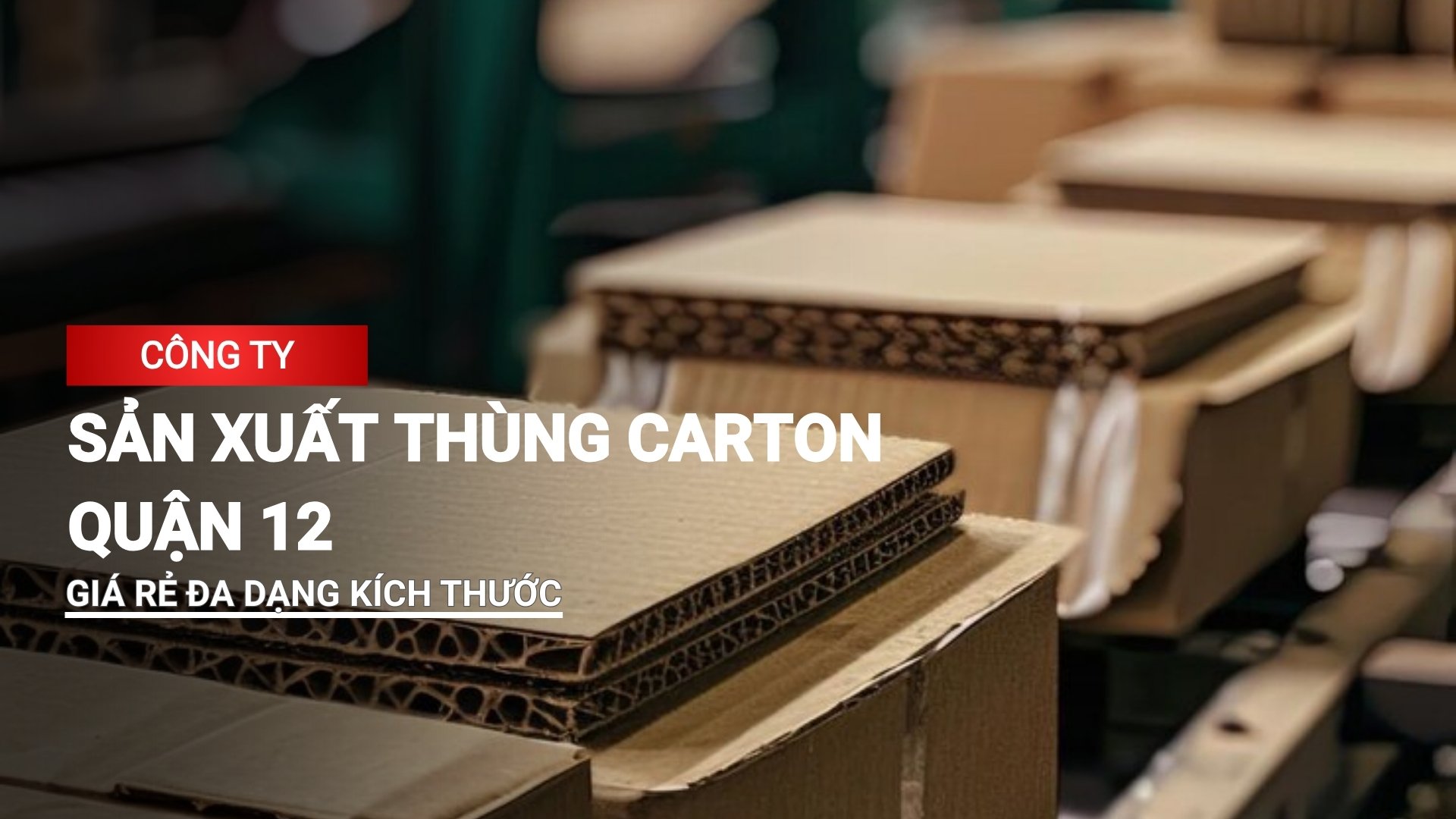 Công ty sản xuất thùng carton quận 12 giá rẻ, đa dạng size