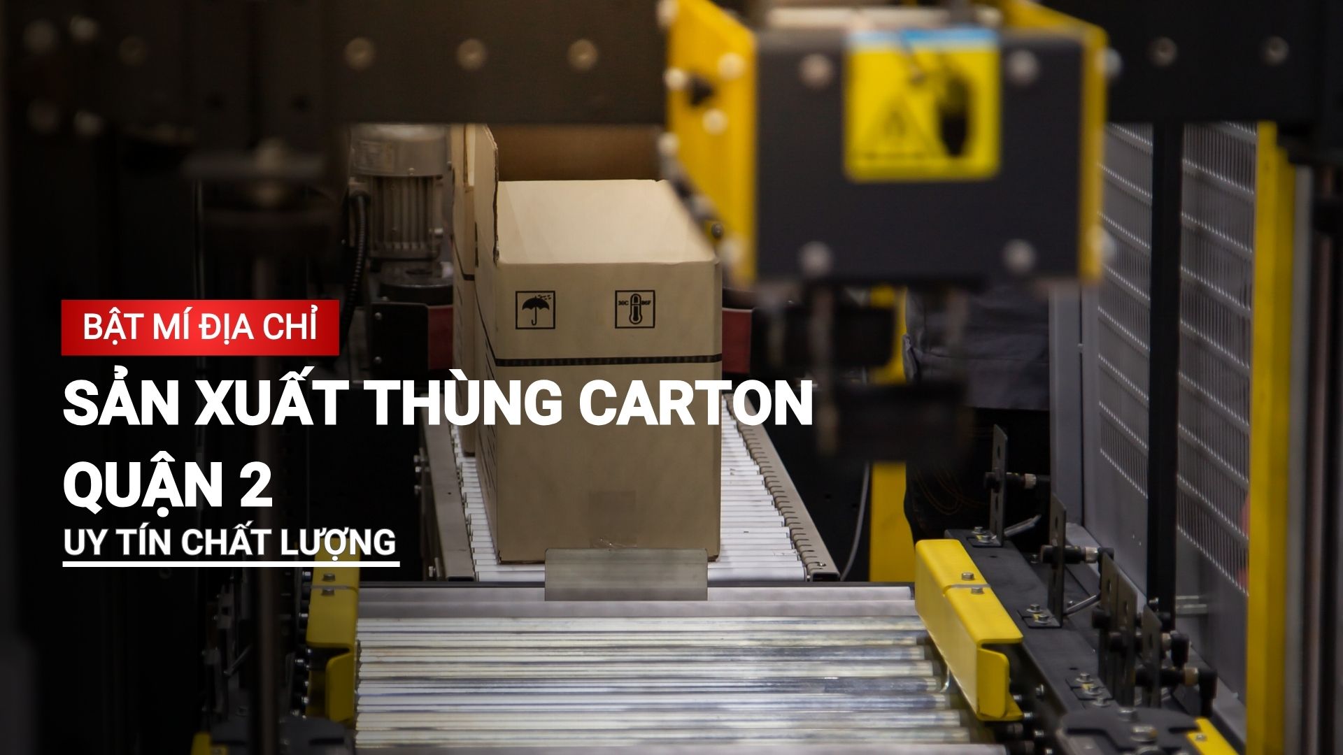 Bật mí địa chỉ sản xuất thùng carton quận 2 uy tín, chất lượng 