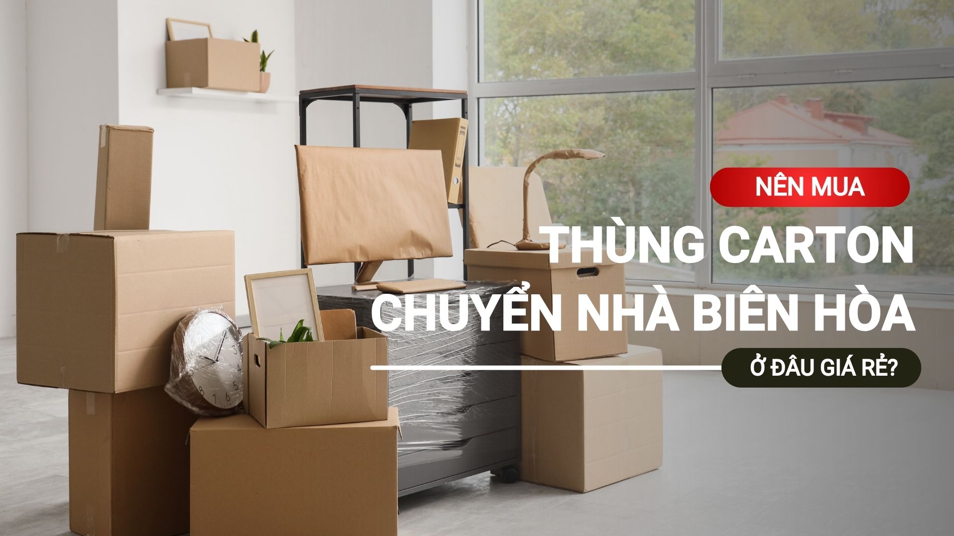 Mua thùng carton chuyển nhà Biên Hòa ở đâu giá rẻ? 