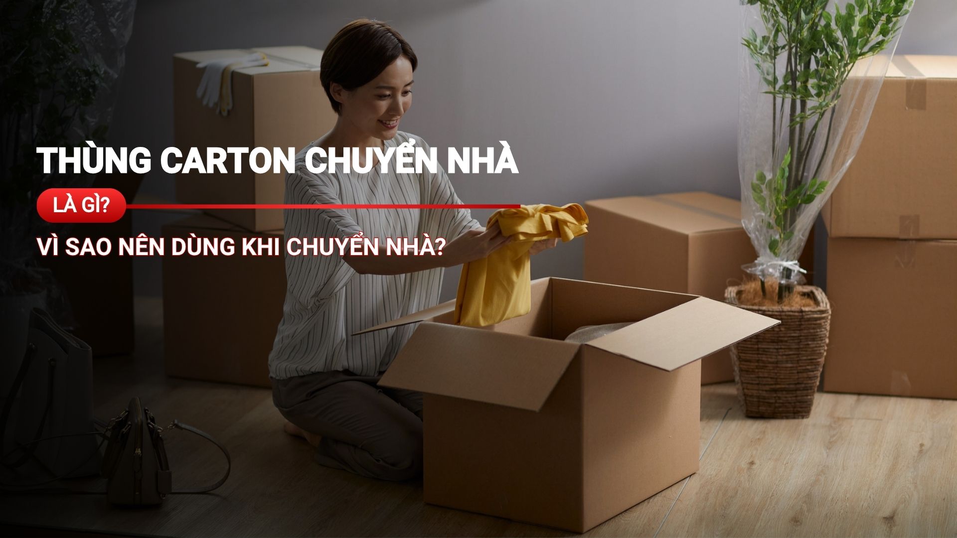 Thùng carton chuyển nhà là gì? Vì sao nên dùng khi chuyển nhà?