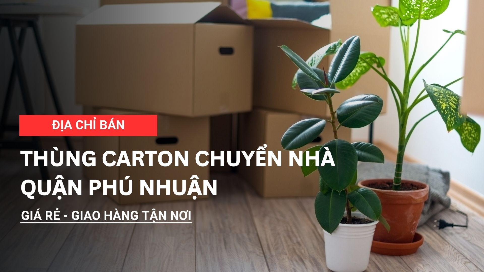 Địa chỉ bán thùng carton chuyển nhà Phú Nhuận giá rẻ, giao hàng tận nơi