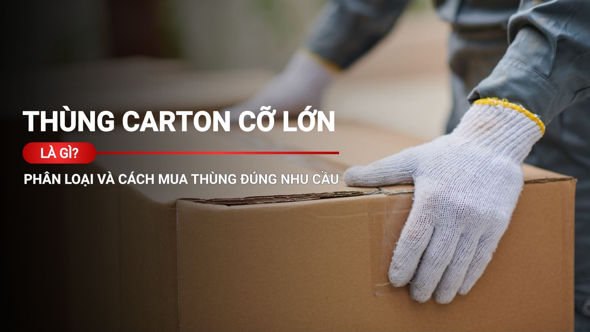 Thùng carton cỡ lớn là gì? Phân loại và cách mua thùng đúng nhu cầu