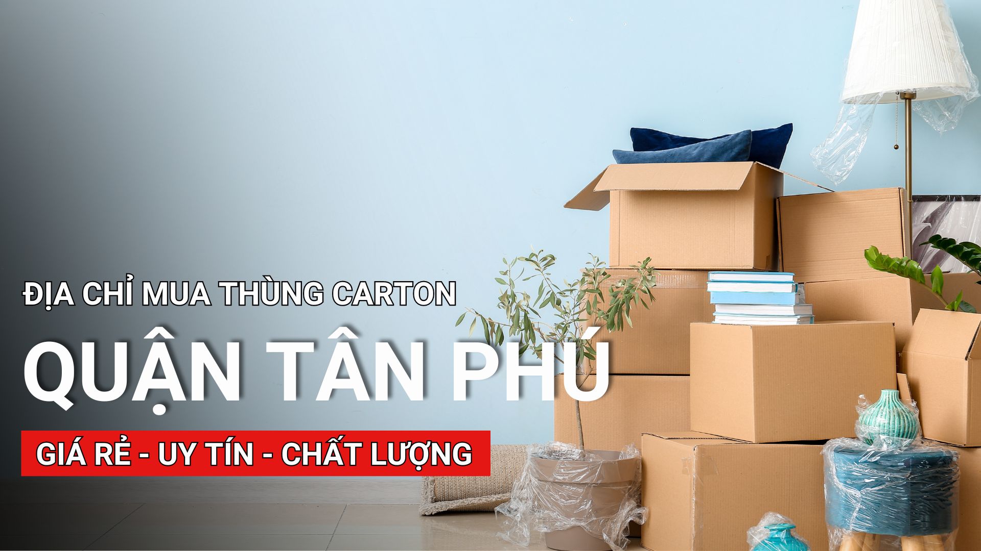 #1 Địa chỉ mua bán thùng carton quận Tân Phú giá rẻ tháng 8/2024