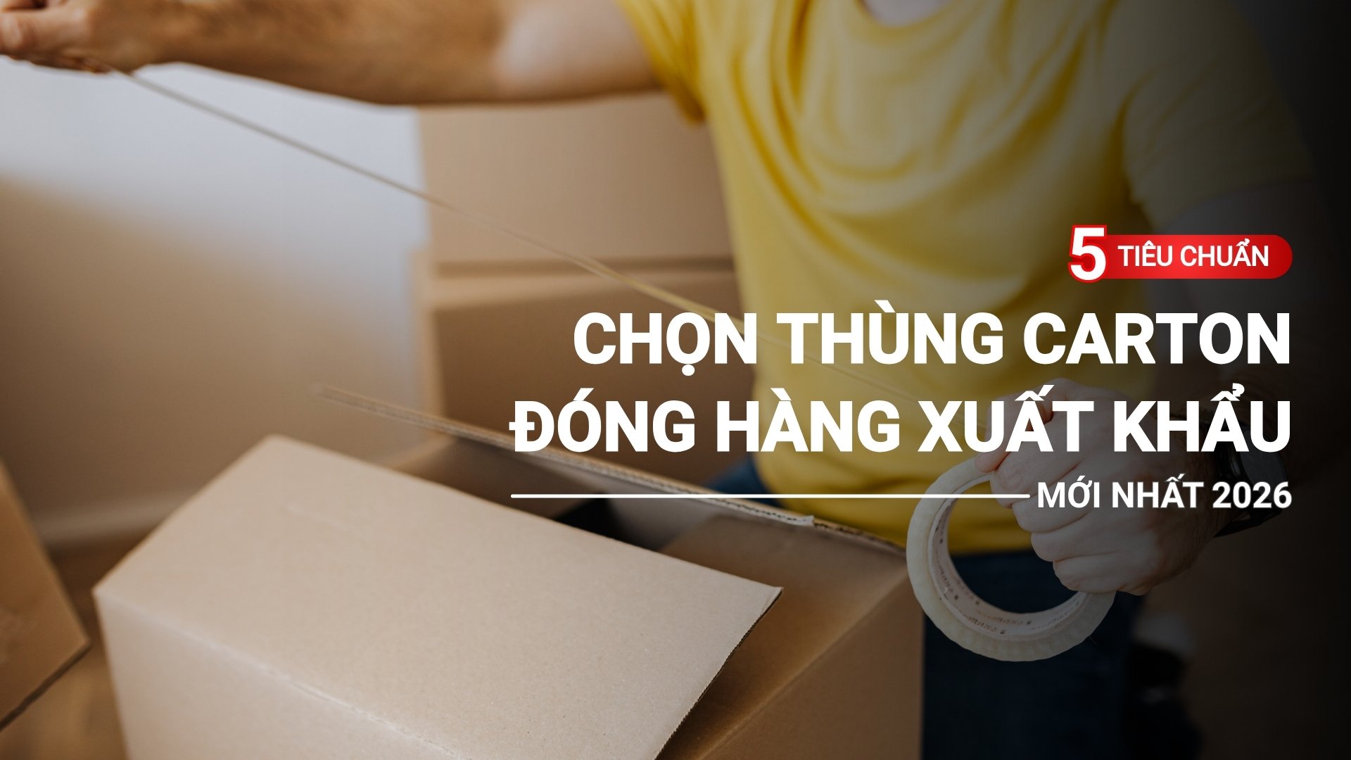 5 Tiêu chuẩn chọn thùng carton đóng hàng xuất khẩu mới nhất 2026