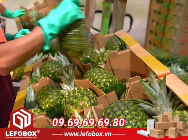 Thùng carton đựng dứa