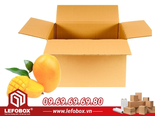 Thùng carton đựng xoài