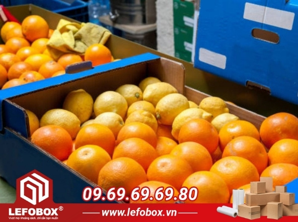 Quy cách đóng gói nông sản xuất khẩu