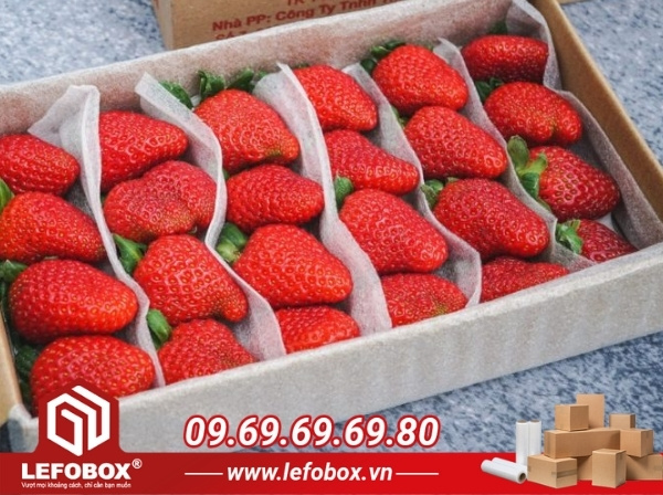 Quy cách hộp carton đựng dâu tây tiêu chuẩn