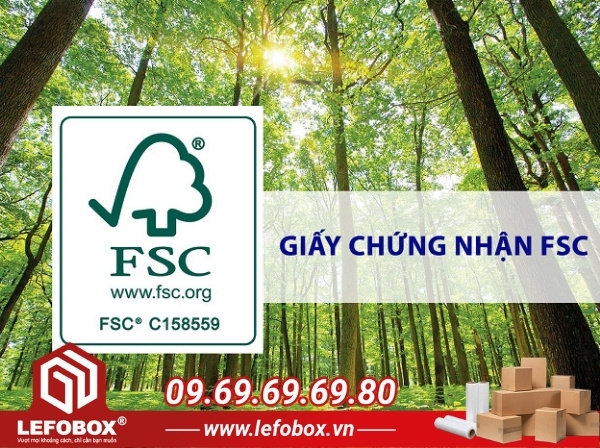 Quy trình đăng ký chứng nhận FSC CoC cho doanh nghiệp bao bì