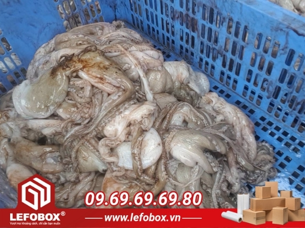 Bạch tuộc ôi thiu khi chọn sai loại thùng carton đựng hải sản