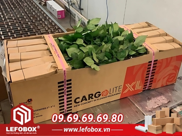 Sản xuất thùng carton đựng nông sản và thực phẩm huyện Bình Chánh
