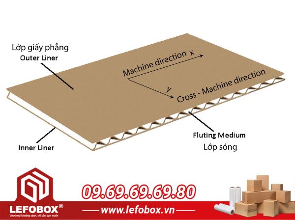 Sóng giấy carton (corrugated cardboard) là loại giấy carton có cấu trúc gồm một hoặc nhiều lớp giấy sóng (fluting) được dán chặt giữa hai lớp giấy tấm phẳng (linerboard)