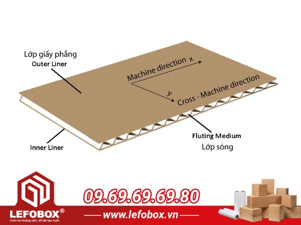 Sóng giấy carton tạo ra sự chắc chắn cho thùng carton