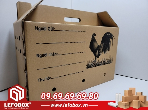 Tại sao gà đá lại cần loại thùng carton khác với loại gà thịt