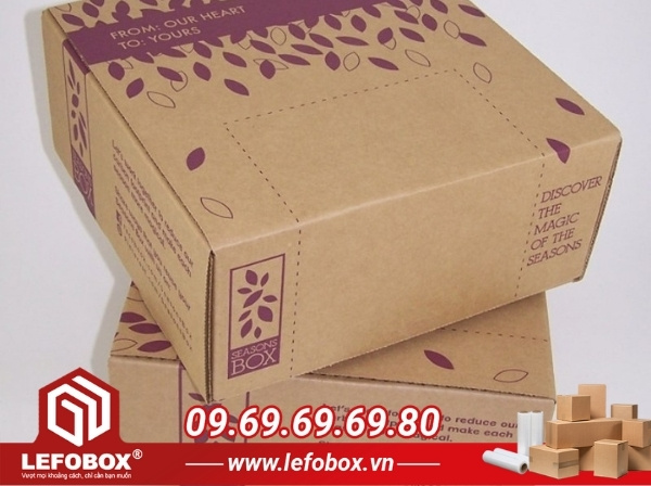 Thiết kế mẫu thùng carton đẹp