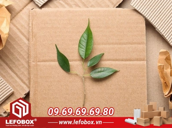 Thùng carton đóng hàng đi Mỹ toàn với môi trường