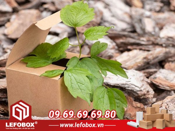 Thùng carton đựng tủ lạnh có thể tái chế sau khi dùng, an toàn với môi trường