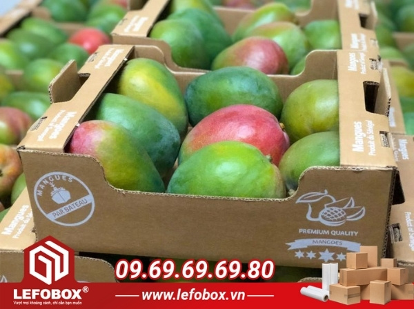 Thùng carton Cần Thơ đựng nông sản