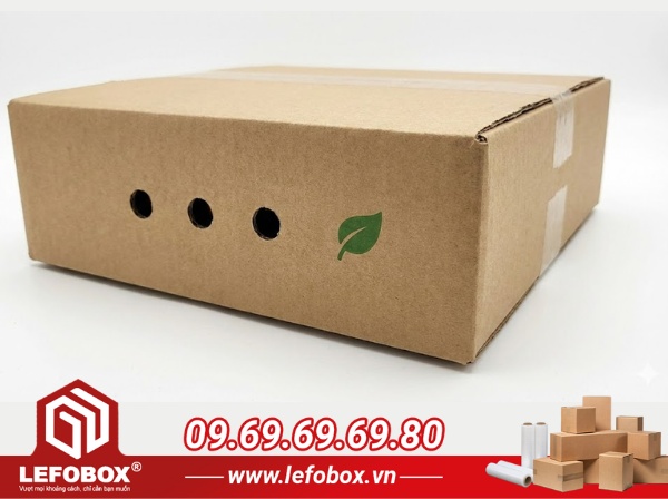 Thùng carton có thiết kế lỗ thoáng khí