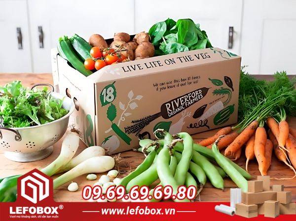 Thùng carton cũ đựng nông sản Bình Chánh