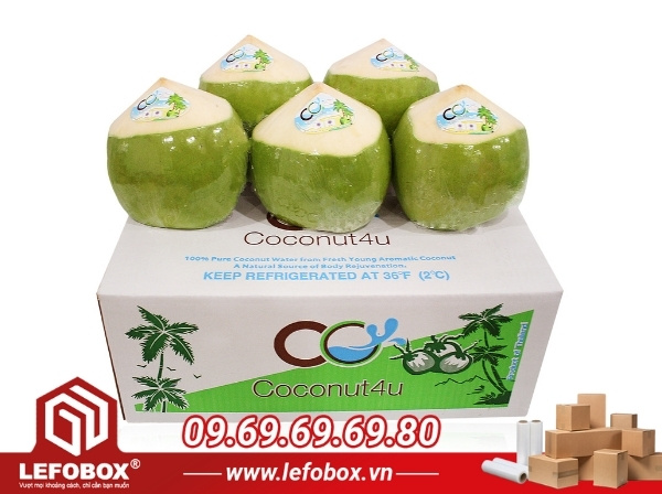 Thùng carton đựng 9 quả dừa xiêm