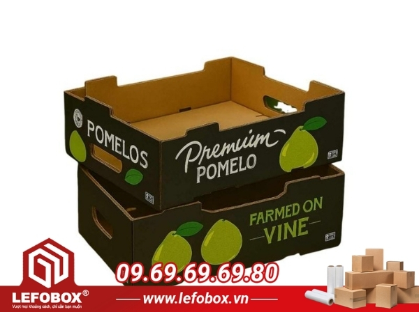 Thùng carton đựng bưởi trưng bày
