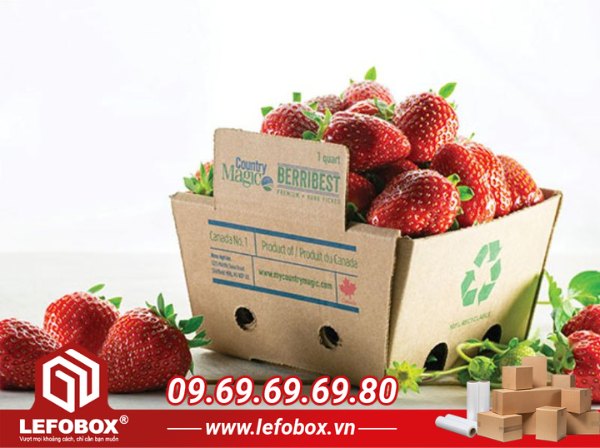 Hộp carton đựng dâu tây