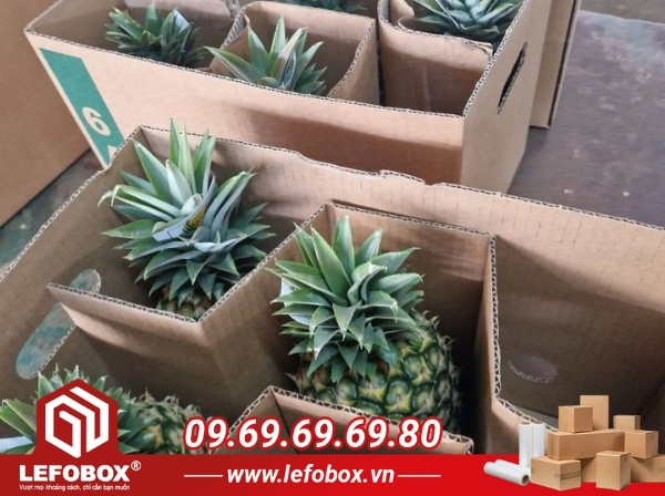 Thùng carton đựng dứa có vách ngăn