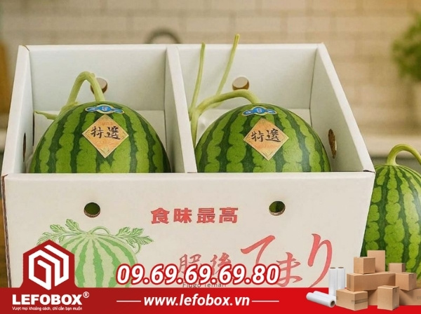 Thùng carton đựng dưa hấu 2 quả