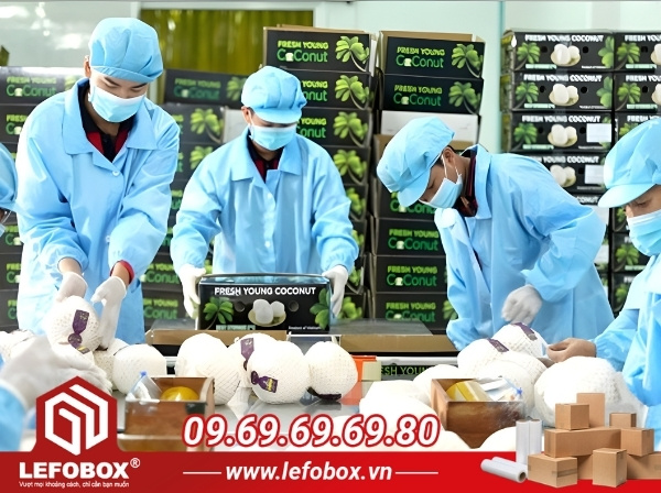 Thùng carton đựng dừa xiêm tạo uy tín cho doanh nghiệp