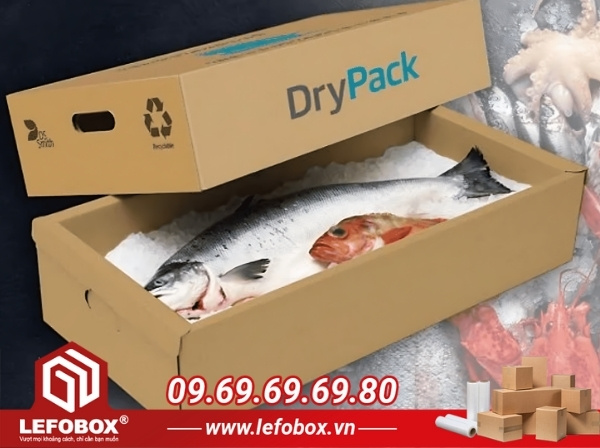 Các lỗ thông khí đóng vai trò quan trọng trong việc bảo quản thủy sản