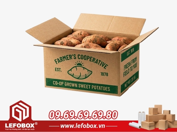 Thùng in logo 1 đến 2 màu Flexo phù hợp với các HTX và cơ sở xuất khẩu