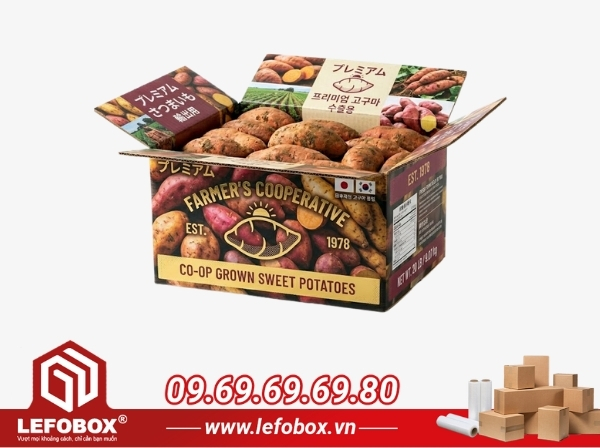 Thùng in offset full màu bồi chống thấm là tiêu chuẩn cho thị trường Nhật và Hàn