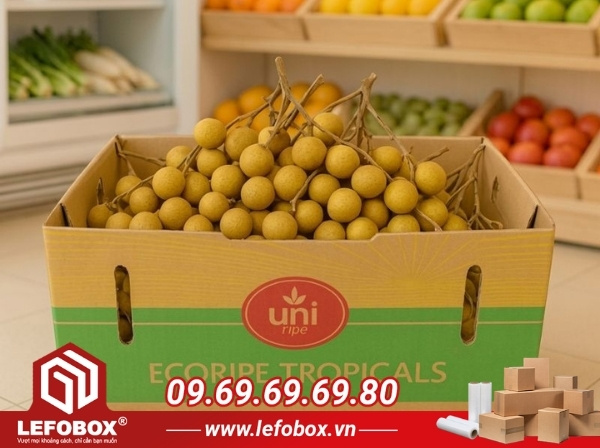 Thùng carton đựng nhãn 10 kg