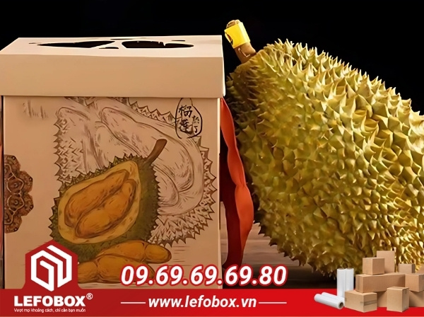 Thùng carton đựng sầu riêng giúp giữ cho gai sầu không bị gãy