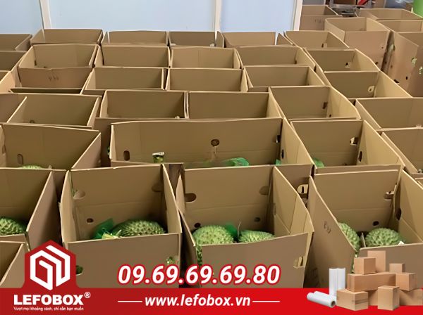  Thùng carton đựng sầu riêng xuất khẩu ra nước ngoài
